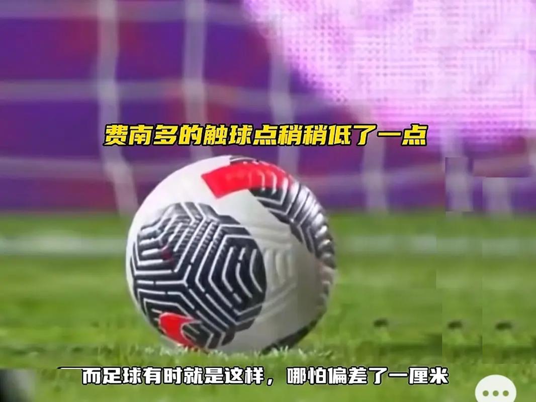 了张禹珍的