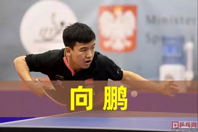 正因为此 正因为此