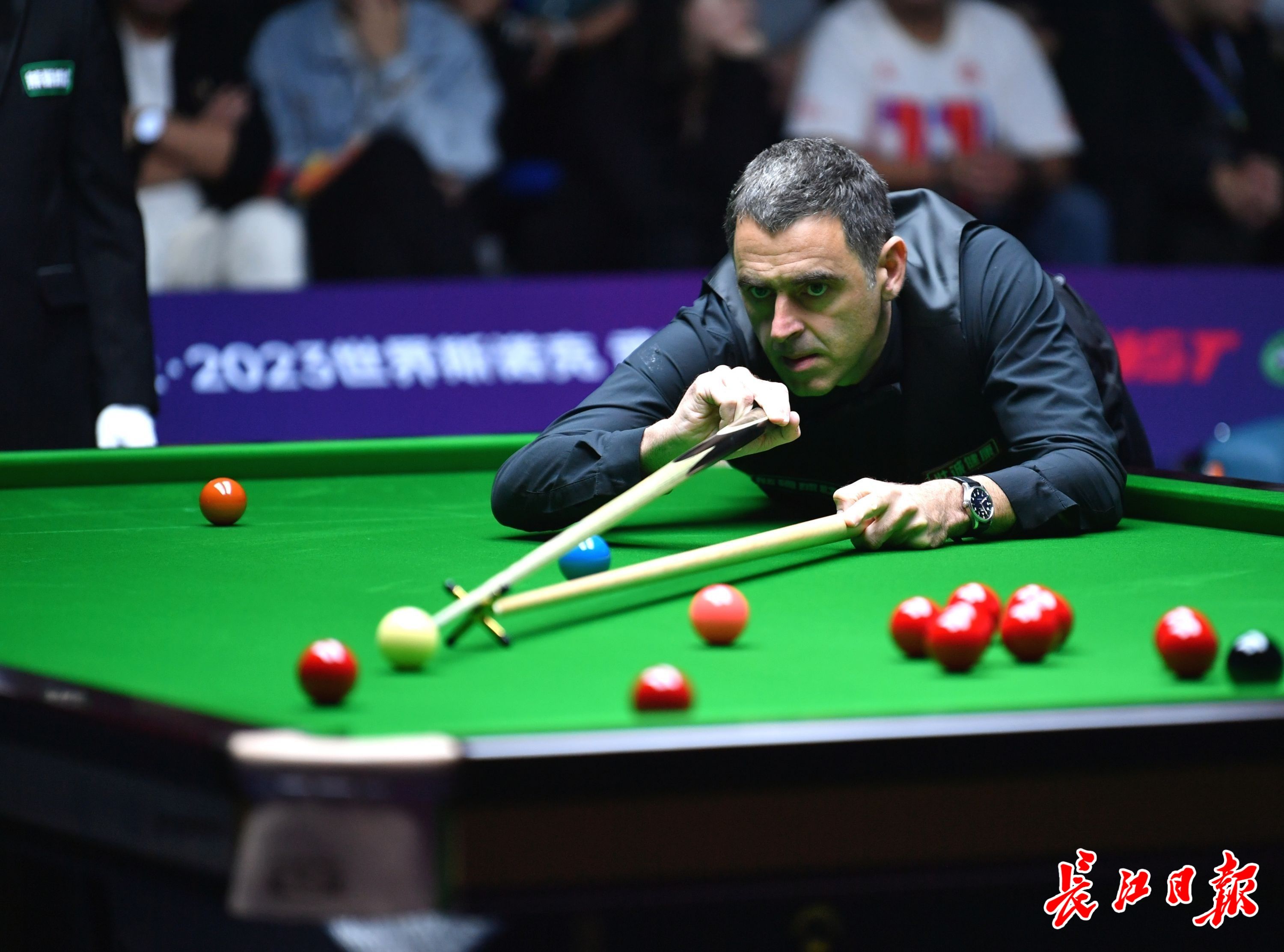 球员的信任 球员的信任