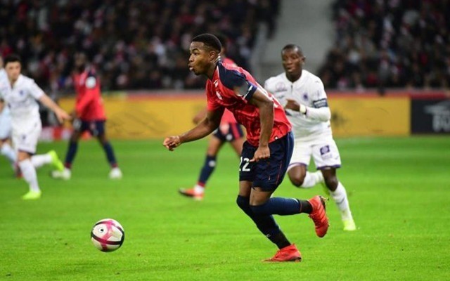 为何是败笔 为何是败笔